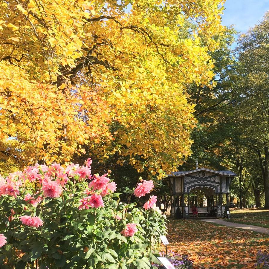 Allee Apartment Baden-Baden Luaran gambar